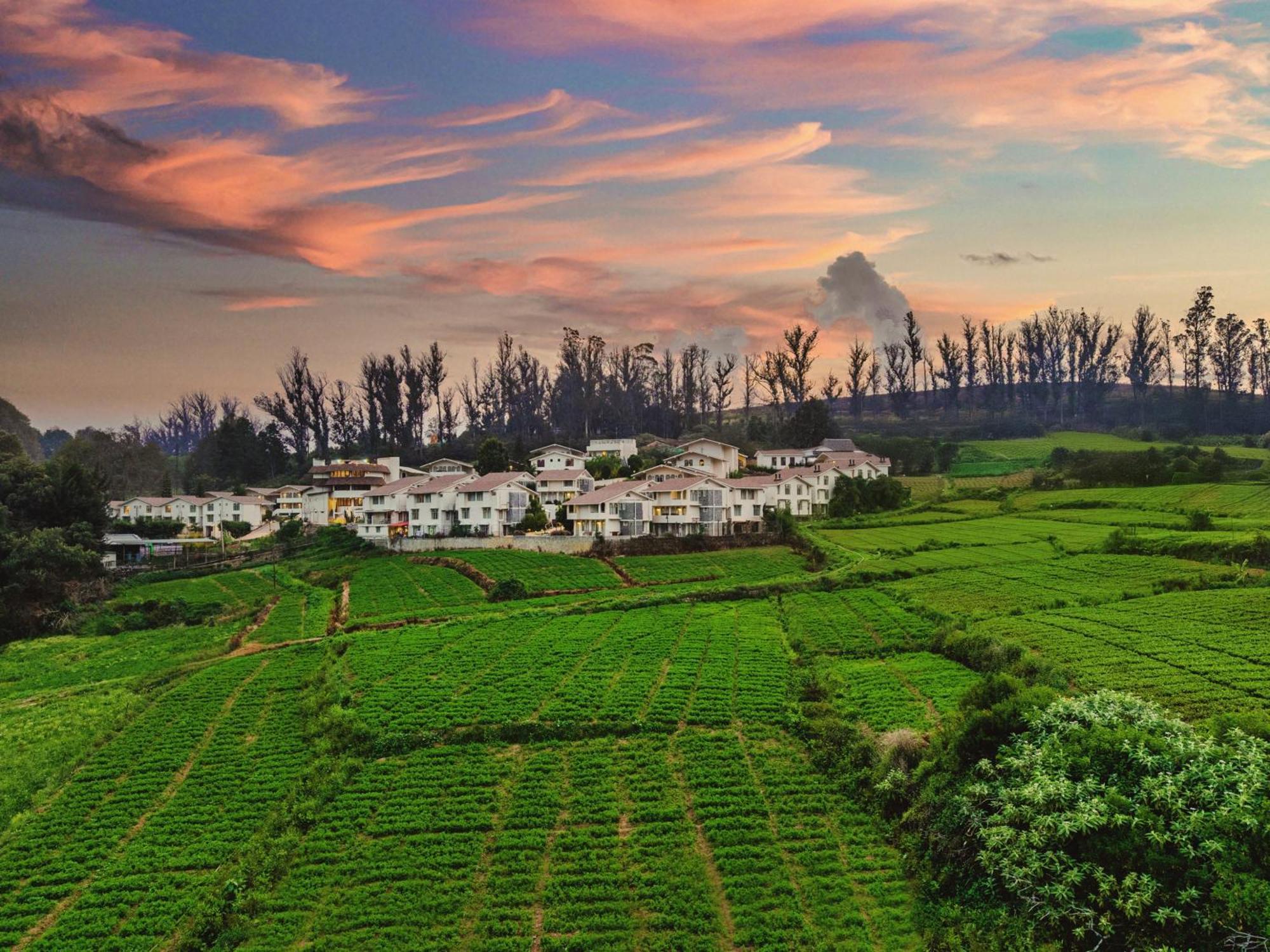 Mango Hill Shola Ooty Hotell Exteriör bild